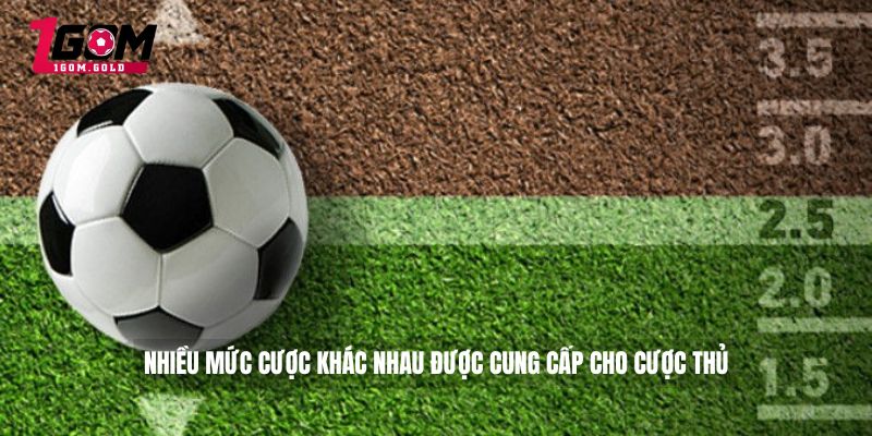 Nhiều mức cược khác nhau được cung cấp cho cược thủ